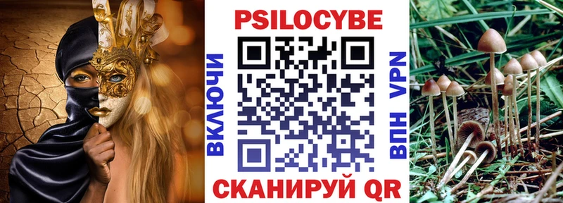 Псилоцибиновые грибы мицелий  Рыбное 