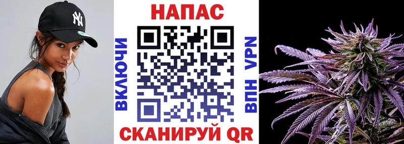 сколько стоит  Рыбное  Канабис ГИДРОПОН 
